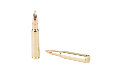 SB7555A_4.jpg