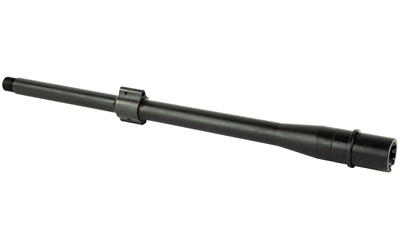 BABL308017PQ_2.jpg