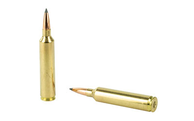 NOS60122_4.jpg